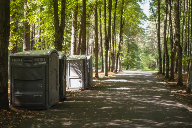 Best Portable restroom trailer rental  in Homestead Meadows South, TX